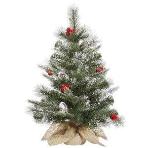 2' Frosted Pine Cone and Berry Artificial Christmas Tree in Burlap Bag - Unlit