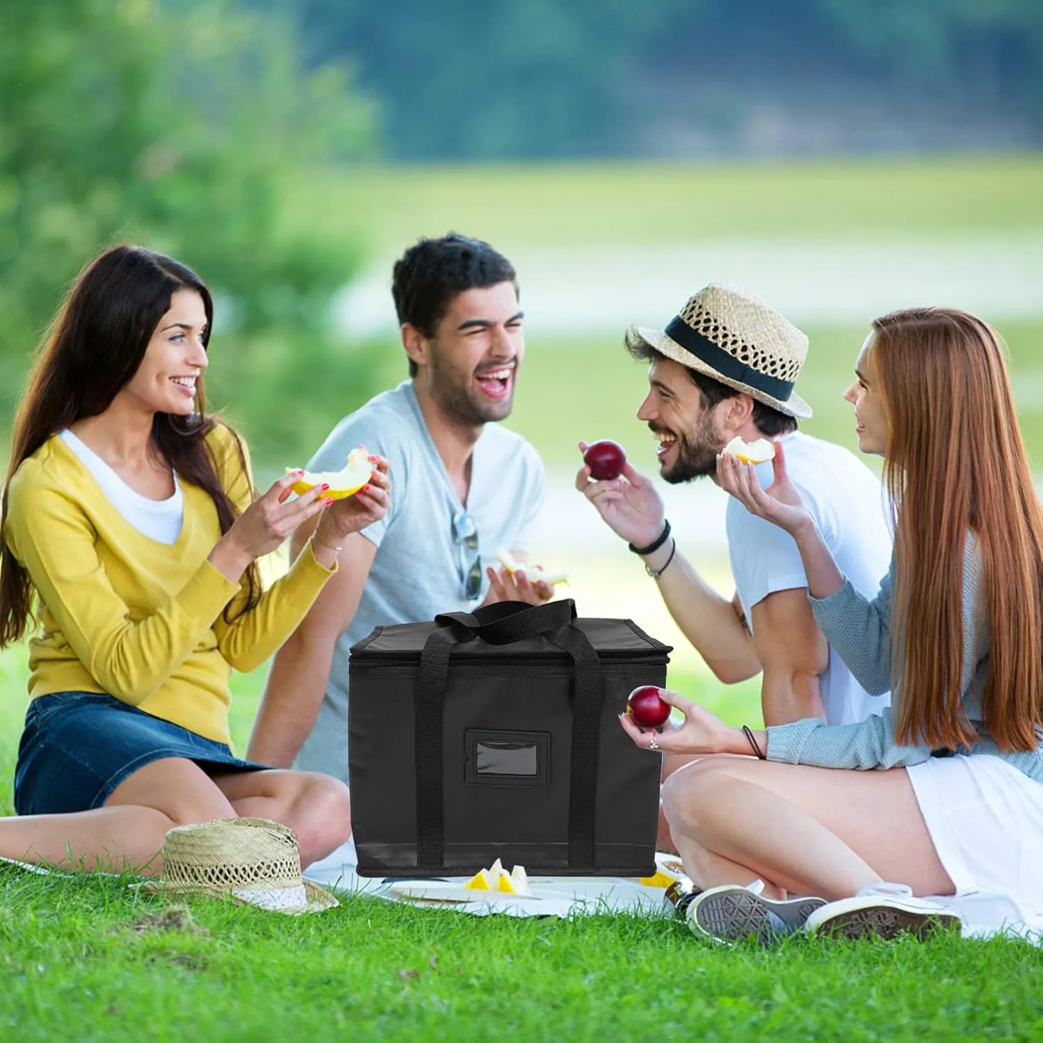40l Collapsible Insulated Cooler Grocery Bag Large Insulated Food Bag Ice Packs Reusable and Waterproof