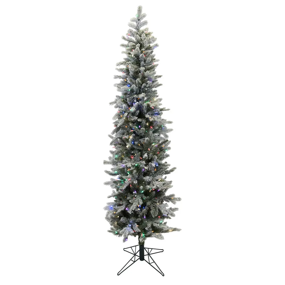 6' x 24" Frosted Tannenbaum Pine Tree