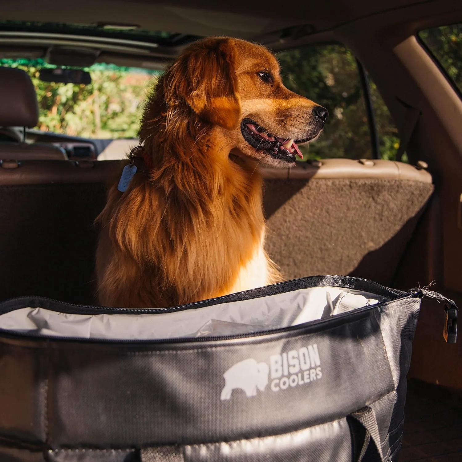Bison Coolers Softpak Series, Made in USA, Soft Cooler Bag Insulated Leak Proof for Beach, Travel, Camping, Picnic, Car, Trips, 24  Hour Ice Retention