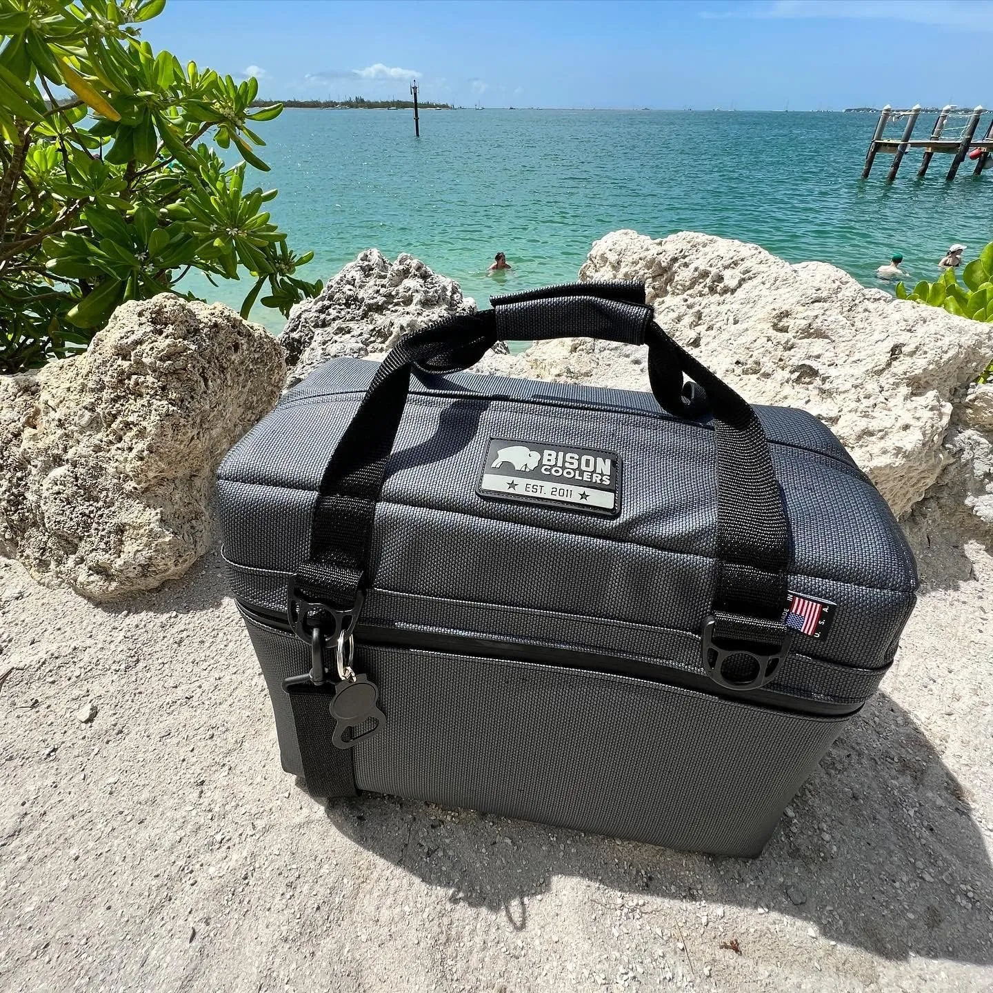 Bison Coolers Softpak Series, Made in USA, Soft Cooler Bag Insulated Leak Proof for Beach, Travel, Camping, Picnic, Car, Trips, 24  Hour Ice Retention