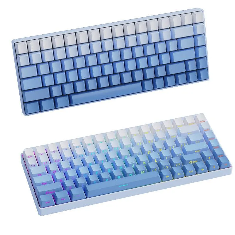 Blue Gradient Side Backlit OEM Doubleshot PBT Keycaps