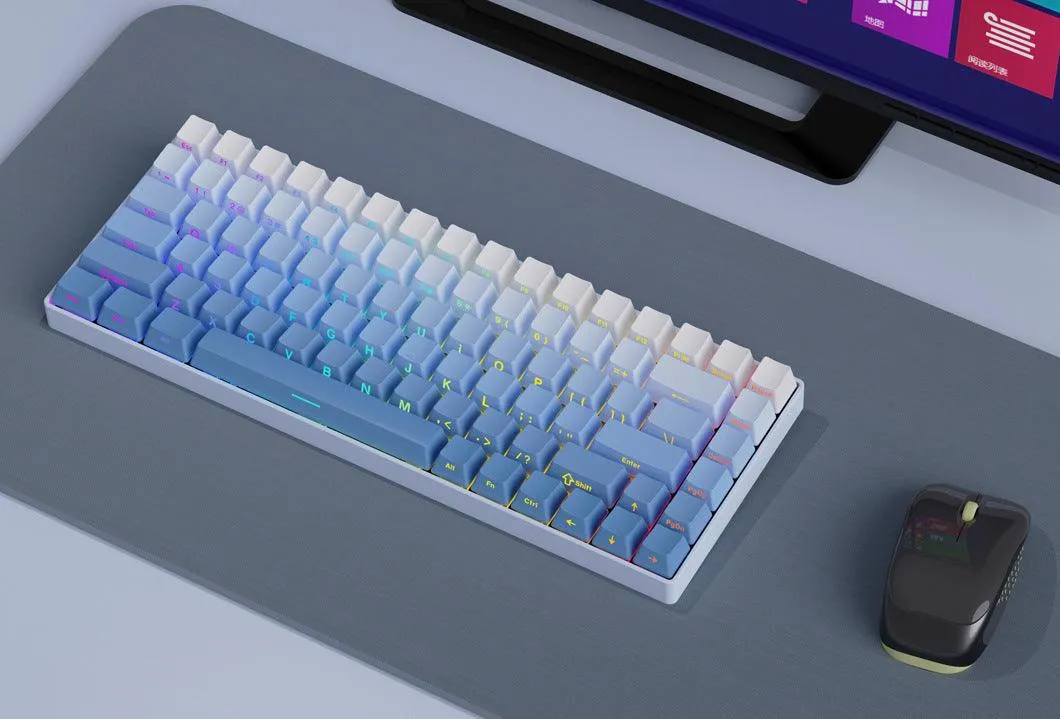 Blue Gradient Side Backlit OEM Doubleshot PBT Keycaps
