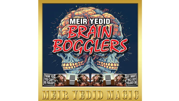 Brain Bogglers by Meir Yedid
