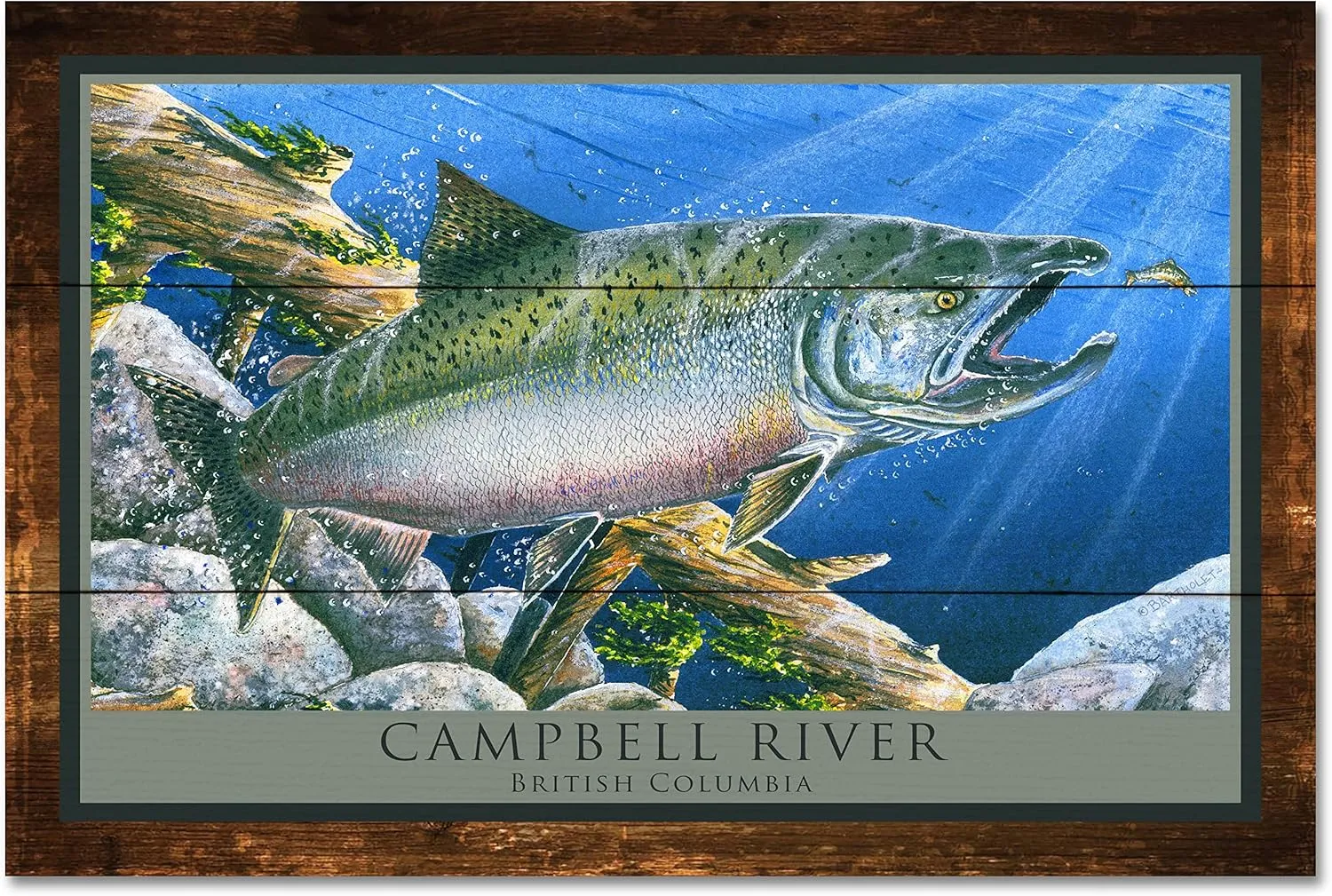 Campbell River Vancouver Island British Columbia Canada Tyee Salmon Rustic Wood Art Print from Watercolor by Artist Dave Bartholet 24" x 36"