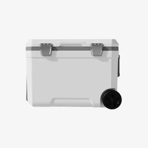 Car Camping Coolers for Lexus Concept/CT/GS/HS/LFA/SC/RZ/TX/UX, Waterproof Portable Cooler, Leak Proof Picnic Insulated Bag, Ultra-Light Premium Ice Chest Box,B-White-45L