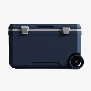 Car Camping Coolers for Triumph 1300/2000/GT6/Herald/Spitfire/Stag/Vitesse, Waterproof Portable Cooler, Leak Proof Picnic Insulated Bag, Ultra-Light Premium Ice Chest Box,C-Blue-70L