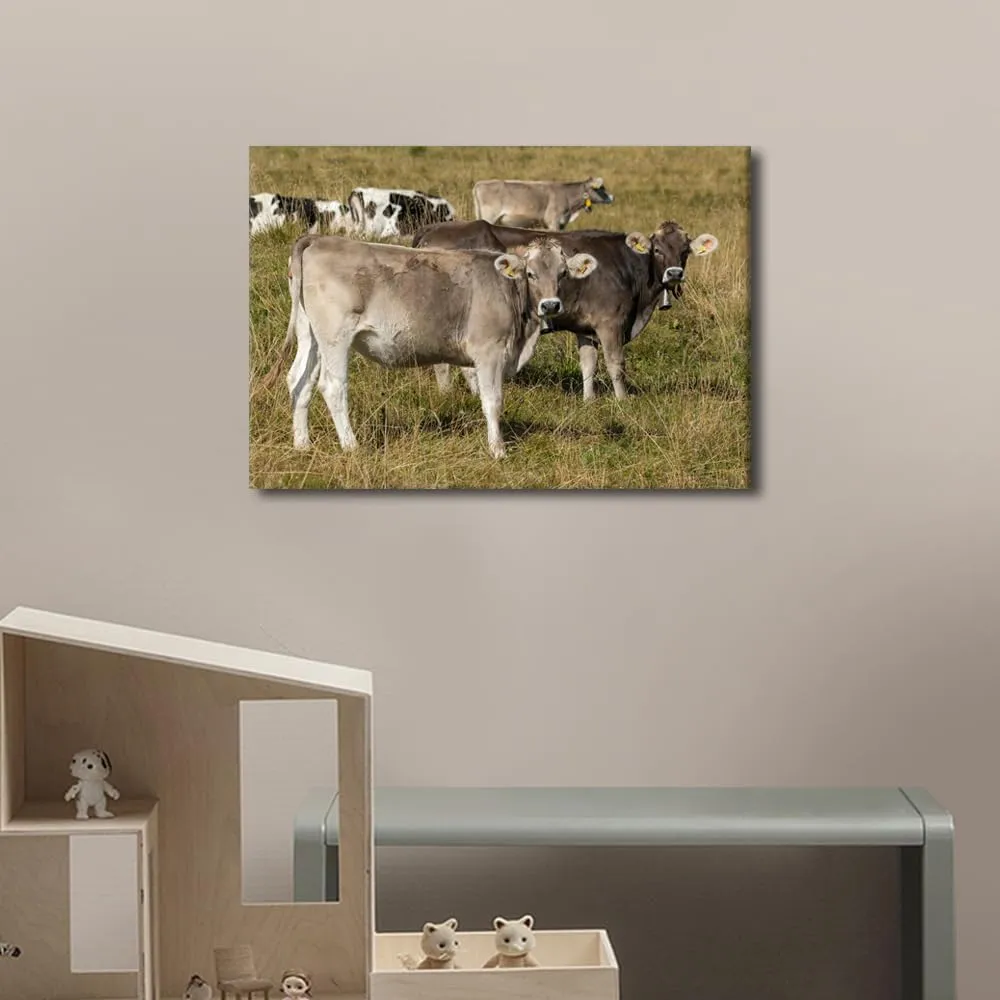 cattle Wall Decor Canvas Art Two Domestic Cattle's (Bos Taurus) Standing in an Alpine Meadow Picture Posters Modern Artwork Paintings Home Wall Decoration Kids cute style Bedroom 1 Panels(12"Wx18"H)