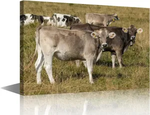 cattle Wall Decor Canvas Art Two Domestic Cattle's (Bos Taurus) Standing in an Alpine Meadow Picture Posters Modern Artwork Paintings Home Wall Decoration Kids cute style Bedroom 1 Panels(12"Wx18"H)