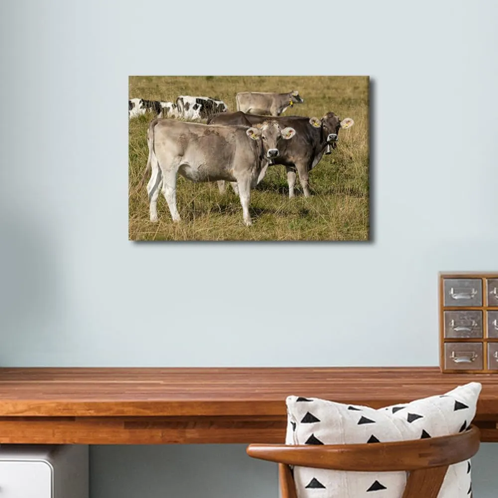 cattle Wall Decor Canvas Art Two Domestic Cattle's (Bos Taurus) Standing in an Alpine Meadow Picture Posters Modern Artwork Paintings Home Wall Decoration Kids cute style Bedroom 1 Panels(12"Wx18"H)