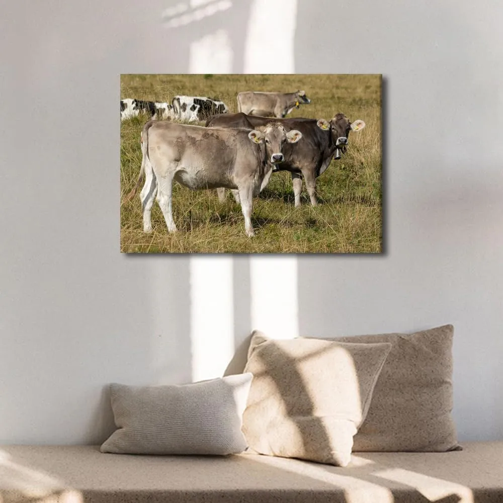 cattle Wall Decor Canvas Art Two Domestic Cattle's (Bos Taurus) Standing in an Alpine Meadow Picture Posters Modern Artwork Paintings Home Wall Decoration Kids cute style Bedroom 1 Panels(12"Wx18"H)