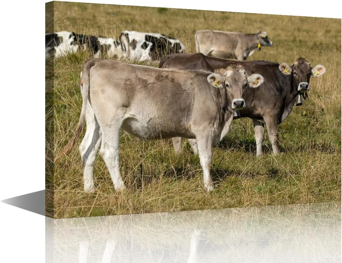 cattle Wall Decor Canvas Art Two Domestic Cattle's (Bos Taurus) Standing in an Alpine Meadow Picture Posters Modern Artwork Paintings Home Wall Decoration Kids cute style Bedroom 1 Panels(12"Wx18"H)