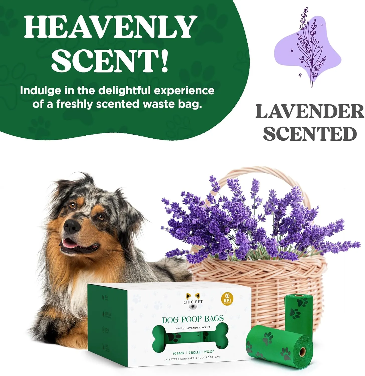 ChicPet Premium Dog Waste Bags, All-Natural, Fresh Lavender Scent, Great for Small and Large Dogs, Extra-thick and Durable, Easy-Open, Leak Proof, 10 Bags Per Roll, 18 Rolls