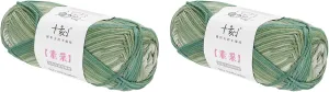 Cotton Yarn,100% Cotton Soft Knitting Yarn [for Hand DIY Bag Cushion Crocheting Knitting Project Home Decor] -2 Packages of 100g/3.52oz(Per Skein 50g/164yards)/Gradient Green