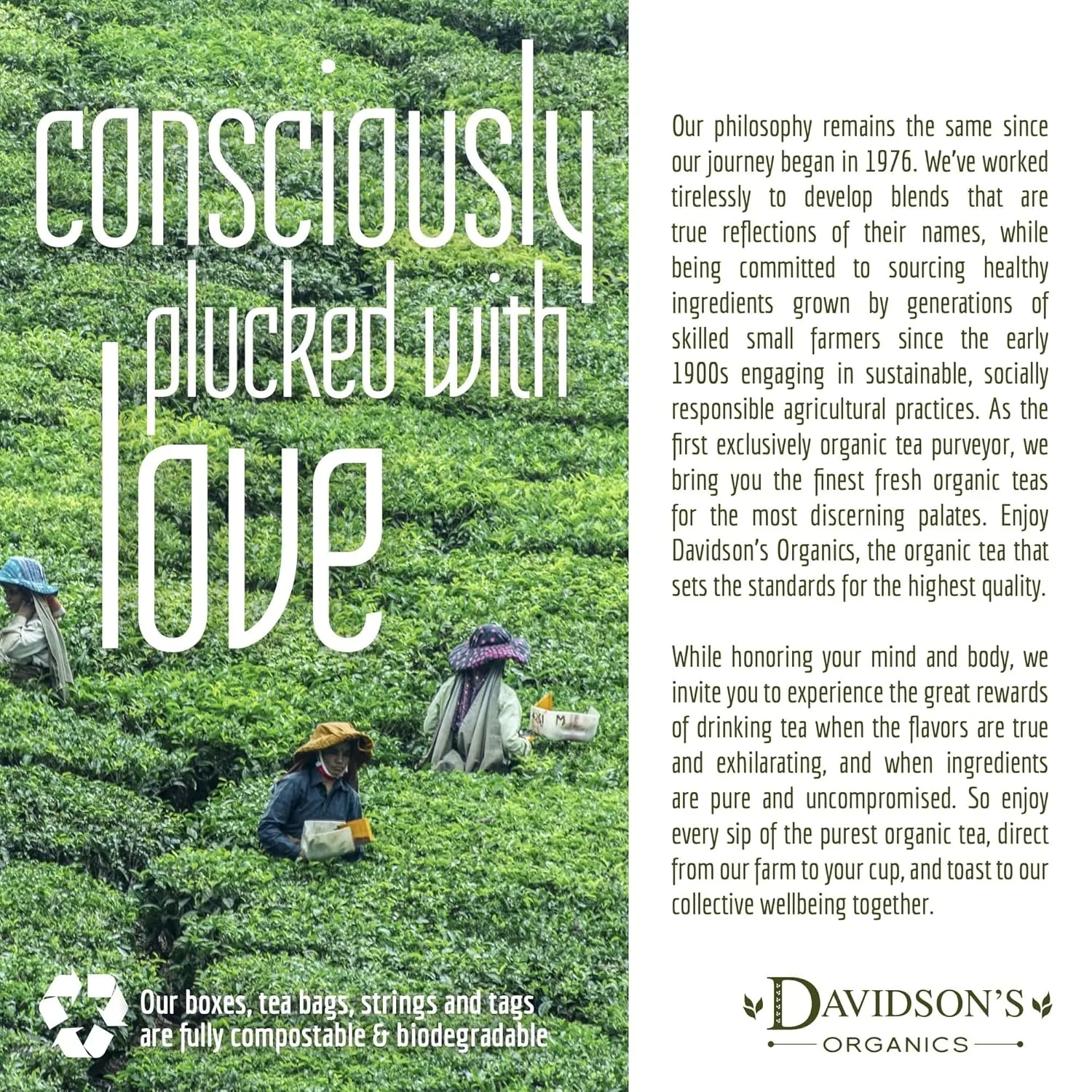Davidson's Organics, Gunpowder Green, Loose Leaf Tea, 16-Ounce Bag(Packaging May Vary)