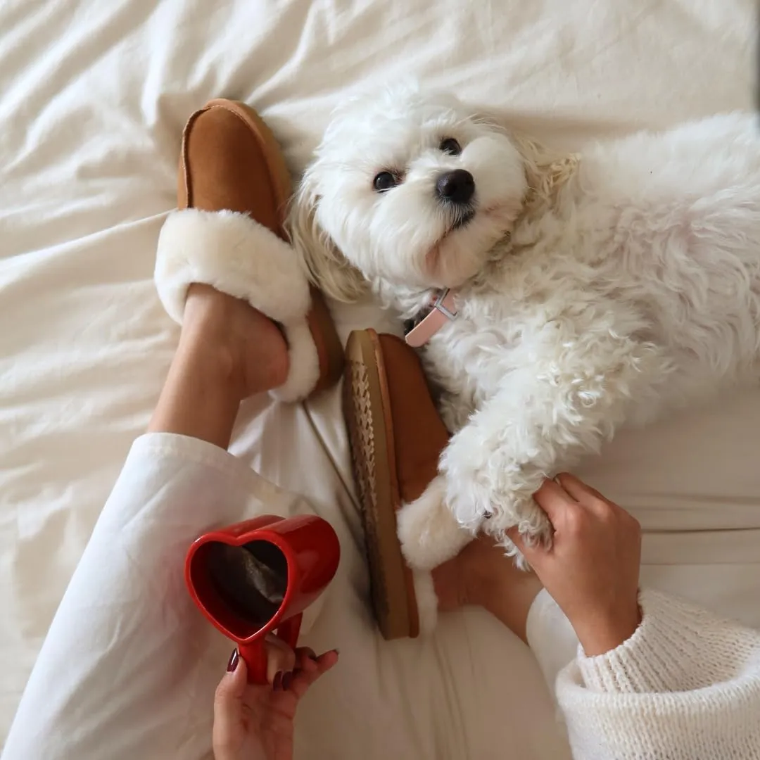 Dearfoams Women's Fireside Sydney Shearling Fur Indoor/Outdoor Scuff Slipper with Wide Widths