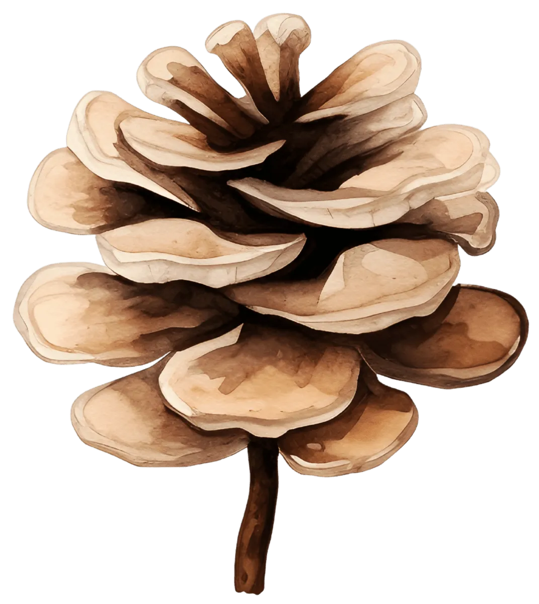 Festive Watercolor Christmas Flowers and Pine Ready to Press DTF Transfers