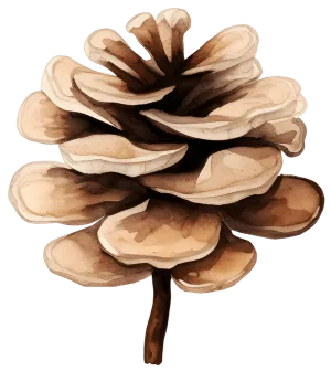 Festive Watercolor Christmas Flowers and Pine Ready to Press DTF Transfers