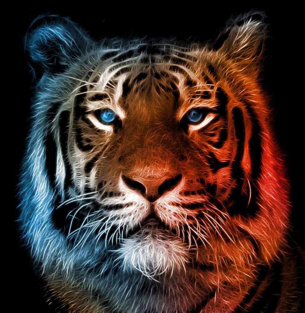 Fire and Ice Tiger Printed Glass  Splashback - DIY