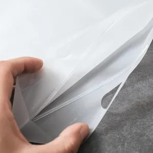 Frosted Ziplock Bag