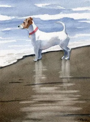 Jack Russell Terrier Art Print by Watercolor Artist DJ Rogers