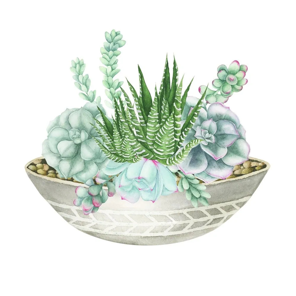 Jade Watercolor Succulent Fabric Panel