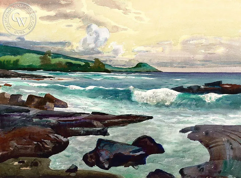 Kona Surf, 1982