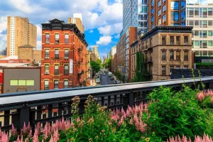 Laminated High Line Park Greenway Rail Trail Manhattan New York City NYC Photo Photograph Poster Dry Erase Wall Art 24x16