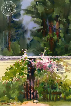 Little House in the Redwoods