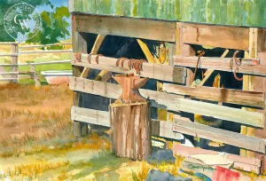 McCanless Ranch, South Kona, Hawaii