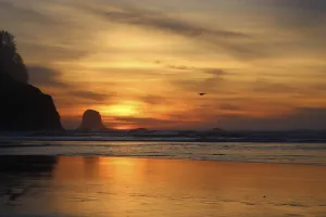 Oregon Coast Sunset Photography Unframed Ocean Beach Decor Pacific Coast Photo Orange Yellow Coastal Fine Art Print