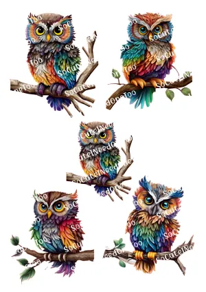 Owl Multicolor Waterslide Decals