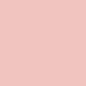Pantone TPG 8.5X11 Sheet 13-1408 Chintz Rose