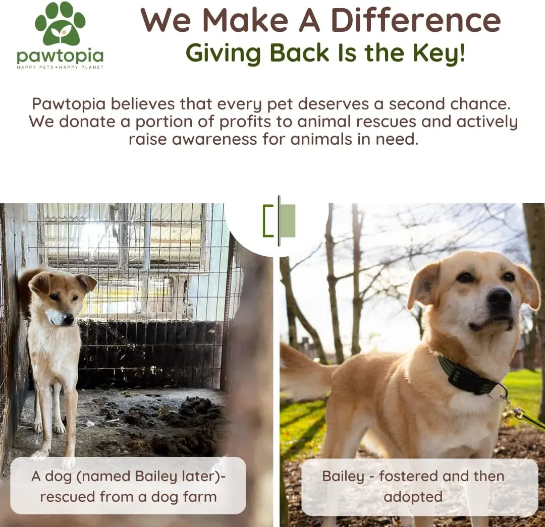 Pawtria Certified Home Compostable Dog Poop Bags (240 Bags), Biodegradable Poop Bags, Cat Litter, Vegetable Starches, Eco-friendly Dog Waste Bags, Leak proof, Easy to Open, Give Back
