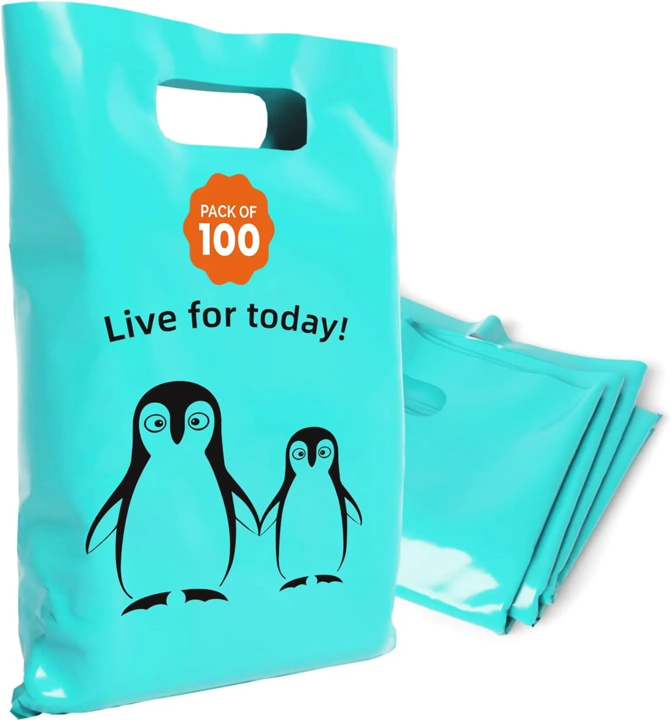 Plastic Bags with Handles – 12x15 Merchandise Bags for Small Business, Die-Cut Retail Boutique & Shopping Bag, Goodie Bag & Trade Show Supplies – Live for Today (Pack of 100)