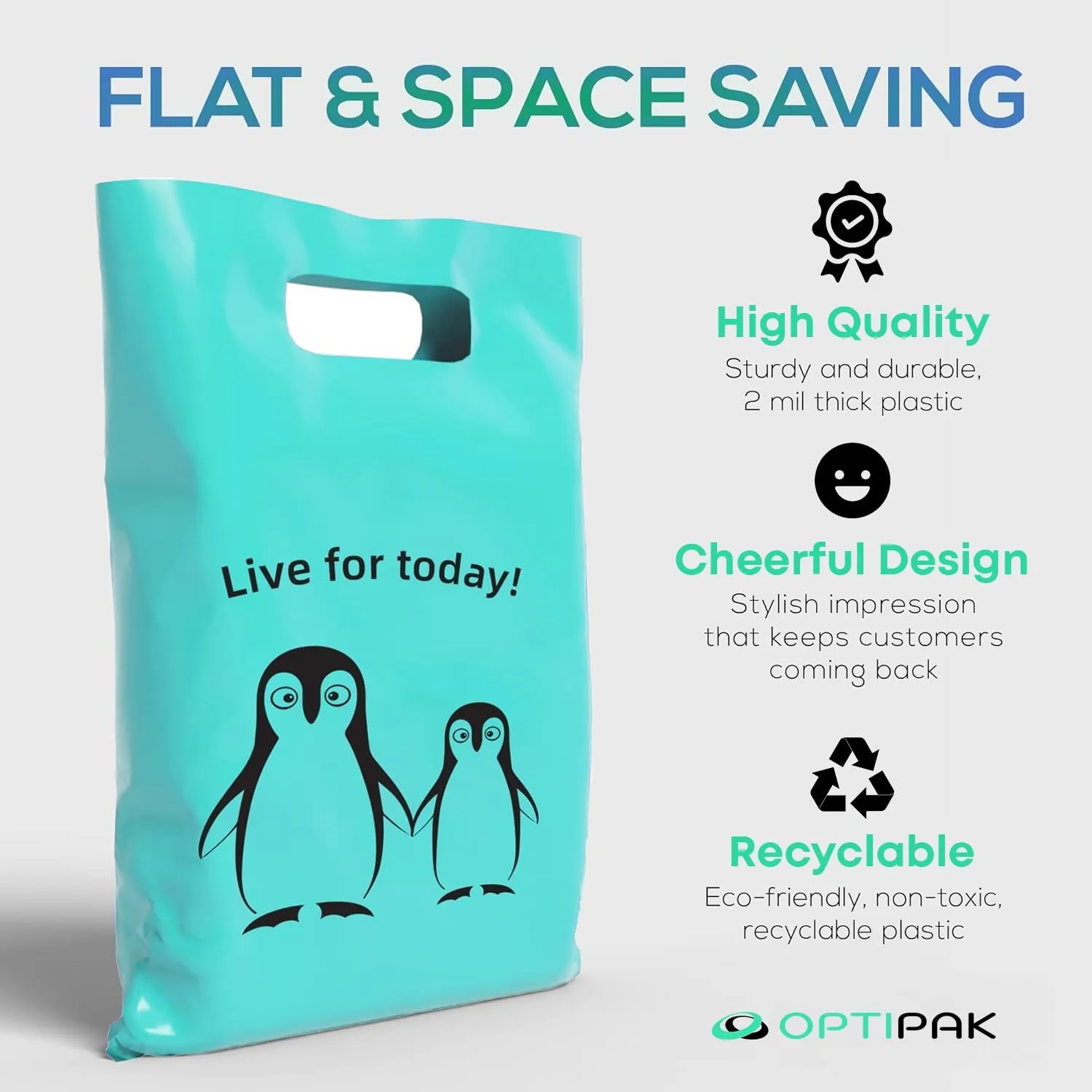 Plastic Bags with Handles – 12x15 Merchandise Bags for Small Business, Die-Cut Retail Boutique & Shopping Bag, Goodie Bag & Trade Show Supplies – Live for Today (Pack of 100)