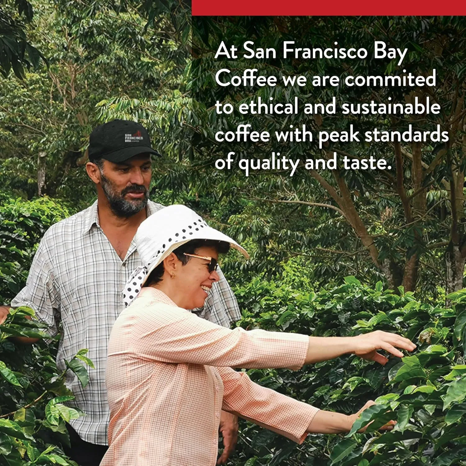 San Francisco Bay Coffee - Dark Roast - French Roast (80 ct) - Single Serve Coffee Pods, Commercially Compostable, K Cup Compatible