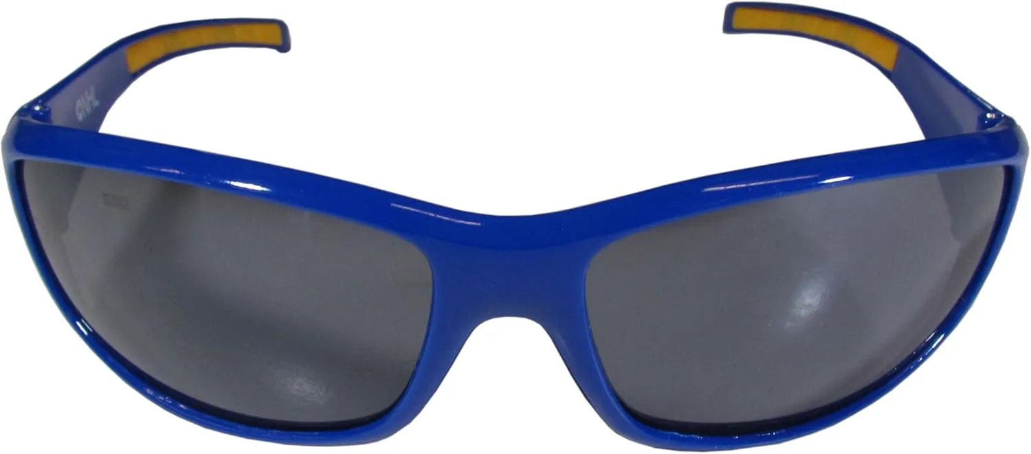 Siskiyou Wrap Sunglasses