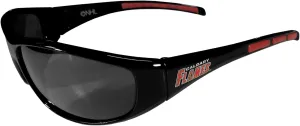 Siskiyou Wrap Sunglasses