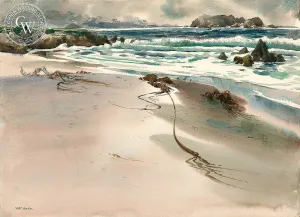 Storm Debris, Carmel