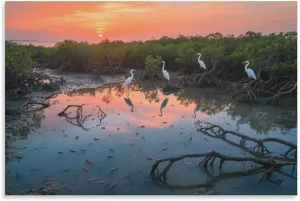 Sunset Mangrove & Egrets Canvas Art - Layered Watercolor Wetland, Eco Retreat & Spa Décor Coastal Conservation Gift Unframe-style 20x30inch(50x75cm)