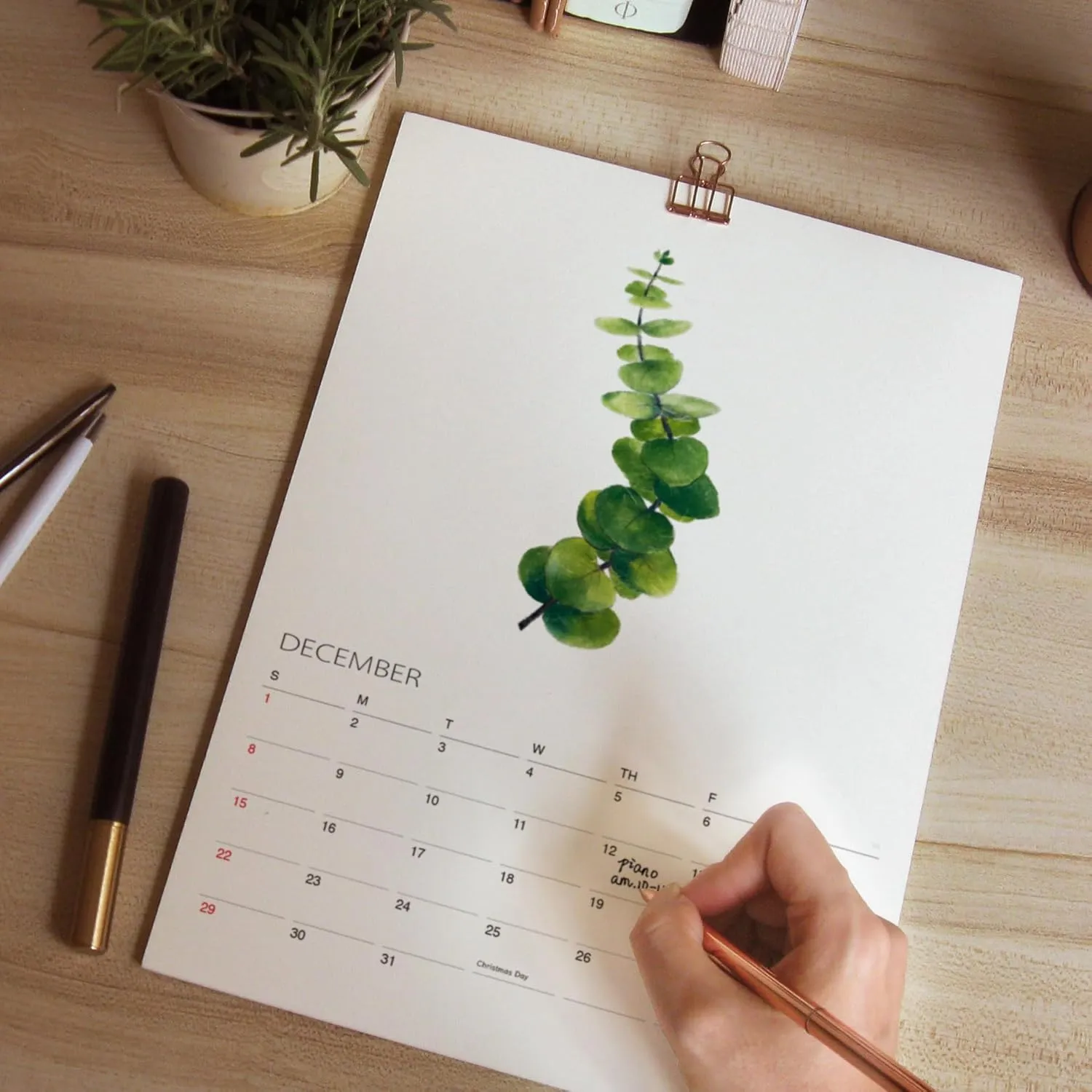 Tropical Plant Art - 2025 Botanical Watercolor Wall Calendar, Foliage Painting Planner, Christmas Gift for Plant Lover, A4 21 x 29.7 cm (2)