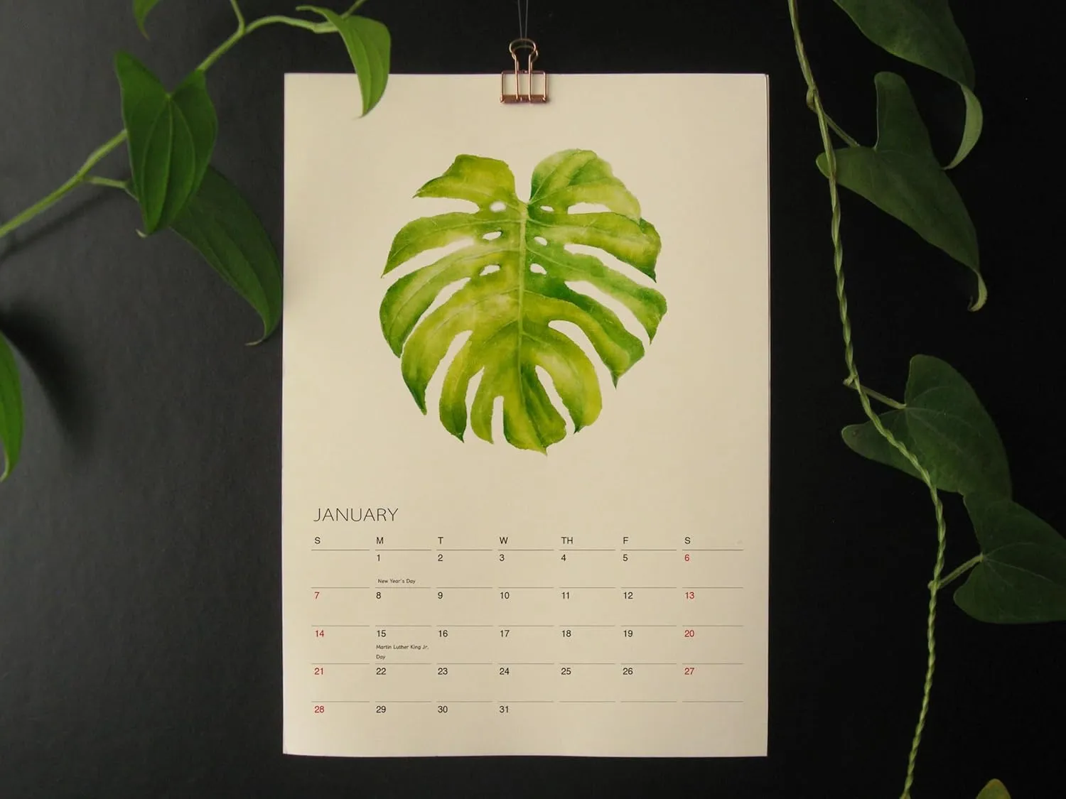 Tropical Plant Art - 2025 Botanical Watercolor Wall Calendar, Foliage Painting Planner, Christmas Gift for Plant Lover, A4 21 x 29.7 cm (2)