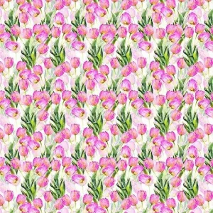 Watercolor Beauty Tulips in Pink